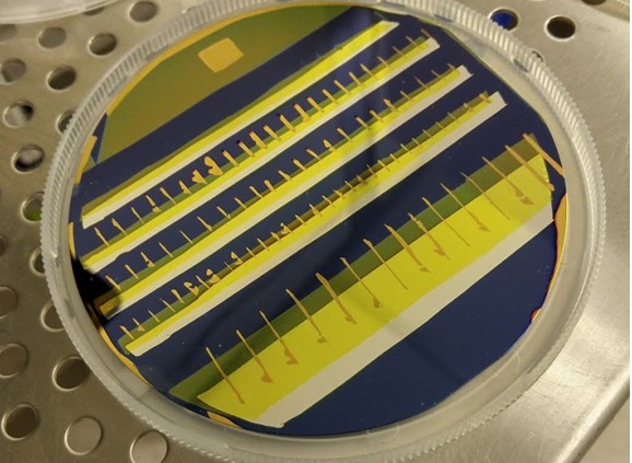 An array of Schottky Layout Detectors in Alq3